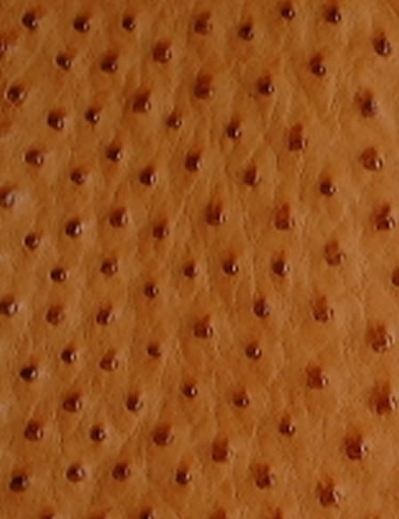 Sample of the grain on the ostrich leather