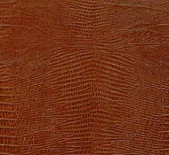 Texture of lizard leather