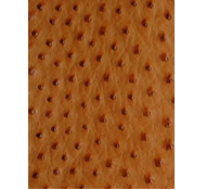 Grain of ostrich leather